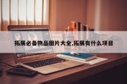拓展必备物品图片大全,拓展有什么项目