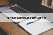 文件拓展名有哪些,常见文件拓展名称