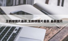 王鹤棣图片最新,王鹤棣图片最新 最新图片
