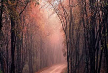 初三物理模拟实验,初三物理模拟实验题及答案