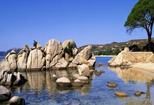 小红点与小蓝点,小红点区别